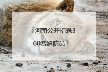 河南公开招录360名消防员